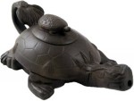 Two Tortoises